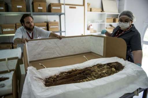 Scans Unveil Secrets of World's Oldest Mummies