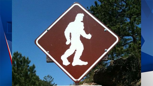 City of Marion Names Bigfoot Its Official Animal Ahead of Festival