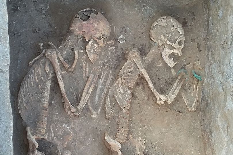 Ancient Couple Found Buried with Horses to 'Pull Them to Afterlife'
