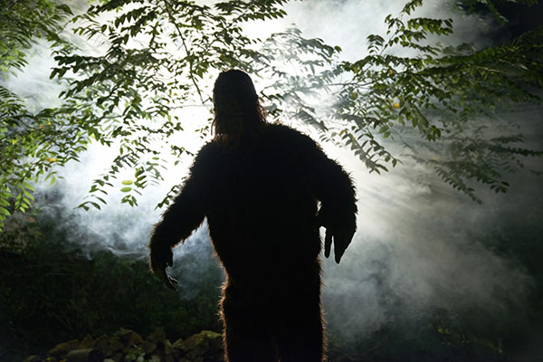 Cops Warn Not to Shoot Bigfoot after South Carolina Sighting