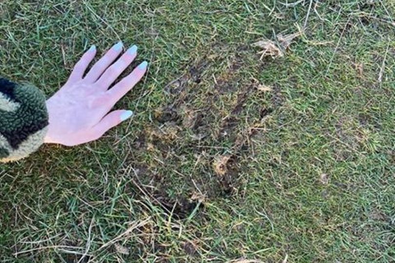 Dublin 'Bigfoot' Mystery Unfolds as Multiple Prints Discovered