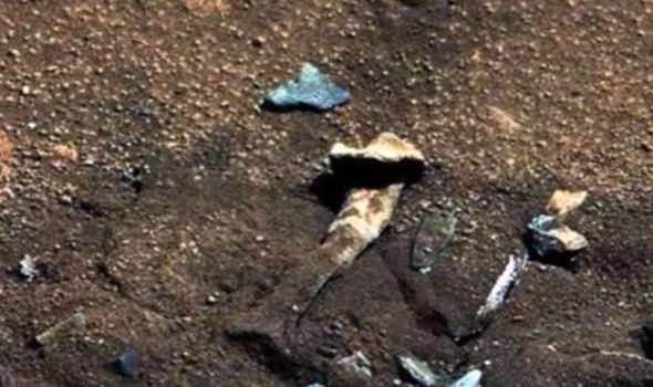 Do These Photos Show Fossilized Bones on Mars?