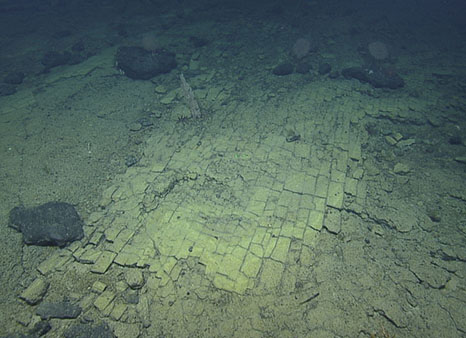Marine Biologists Discover Underwater 'Yellow Brick Road'