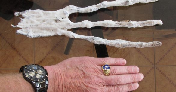 Strange Three-Fingered Alien-Looking Hand Found in Peru