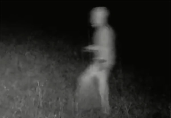 Grey 'Alien' Caught on Trail Camera in Montana?
