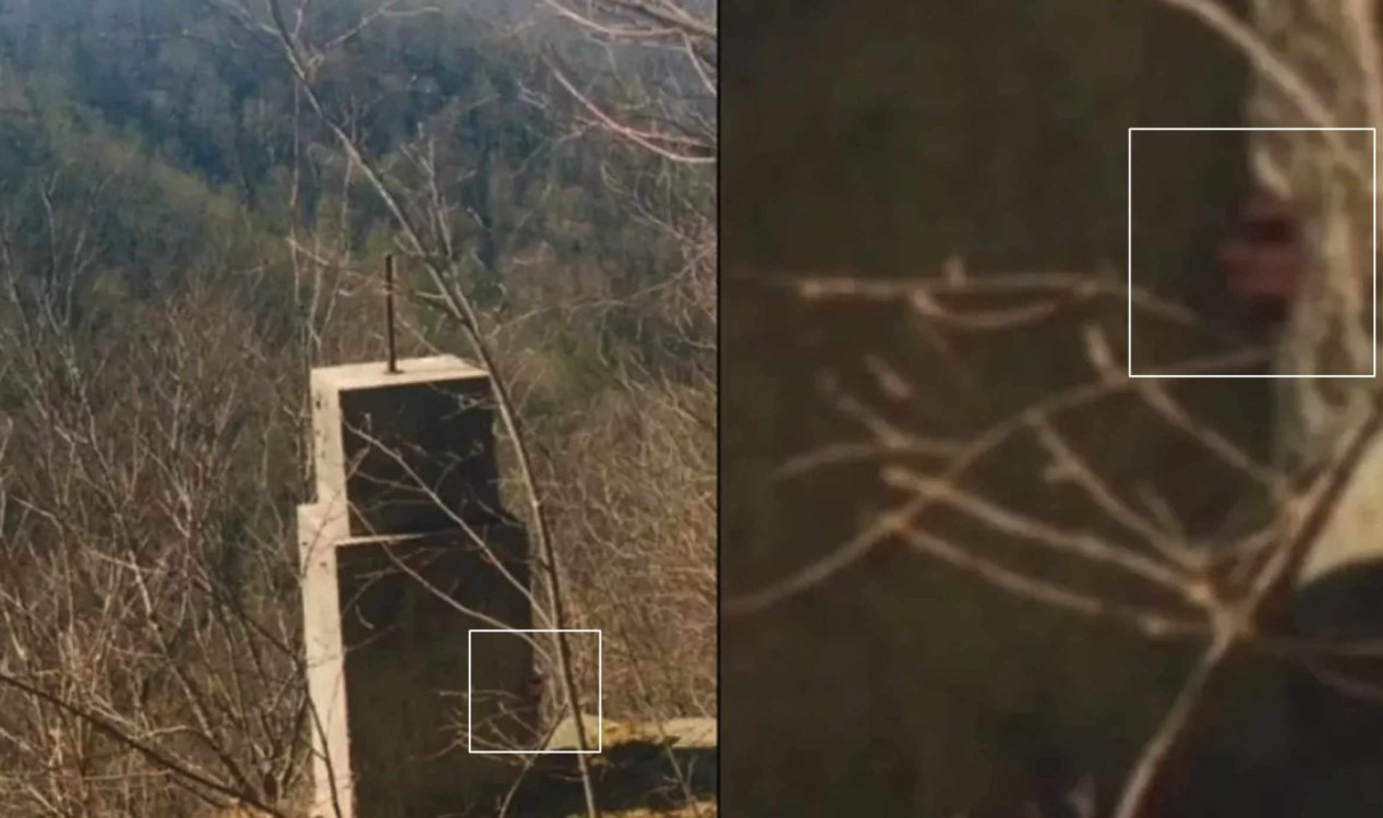 Photograph Shows Weird 'Hand' in Bigfoot Sighting Hot Spot