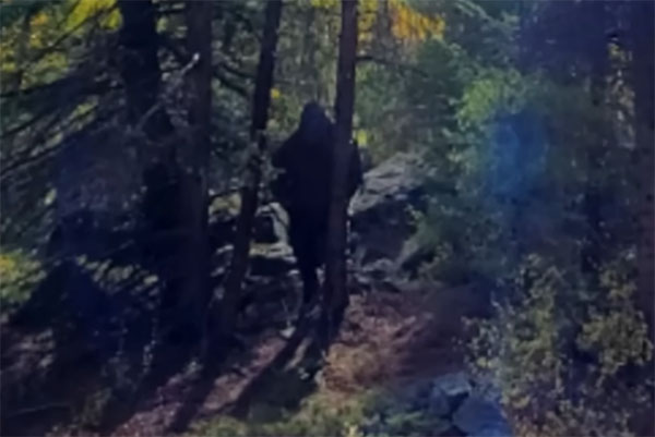 Train Passenger Photographs Bigfoot in Rocky Mountains?
