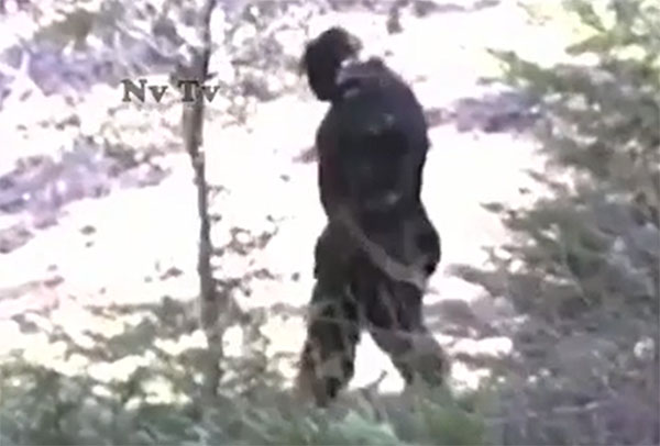 Footage Claims to Show New Sighting of Sasquatch in Idaho