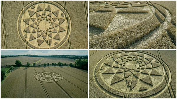 Farmer Inundated with Visitors After 200ft Crop Circle Appears