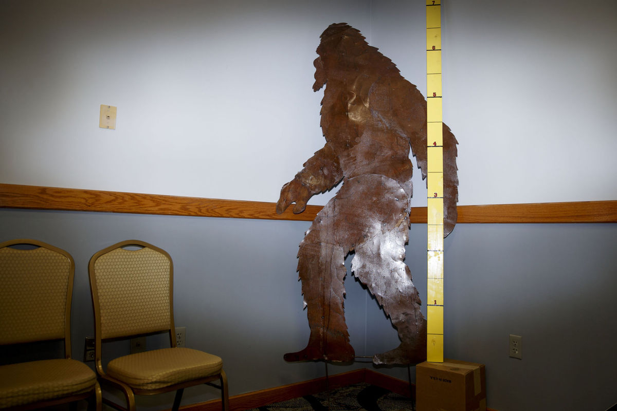 Colorado Woman Reports Bigfoot Sighting on Interstate 80