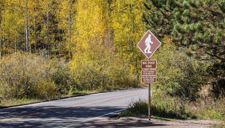 Woman Reports Encounter with Eight-foot-tall Bigfoot in Ohio