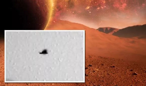 Did NASA Photograph a Flying Bird on Mars?