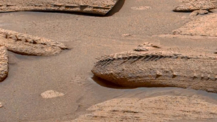 Odd Spiked Rock Photographed on Mars