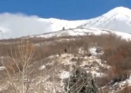 Group of Men Record 'Bigfoot' on Utah Hillside