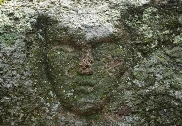 Mysterious Stone Face Found Carved on Boulder in Kazakhstan