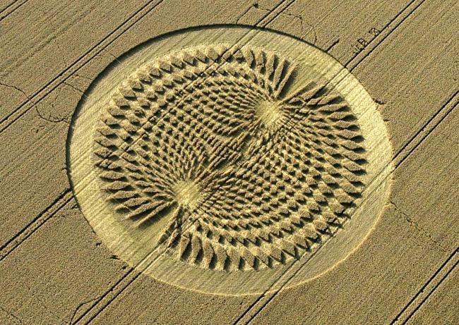 Police Urge People to Report Crop Circle 'Damage'