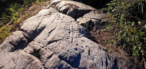 Stone Covered in Ancient Nordic Runes Unearthed in Ontario