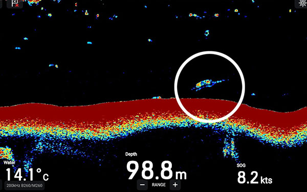 Loch Ness Monster Spotted on Ship's Sonar?