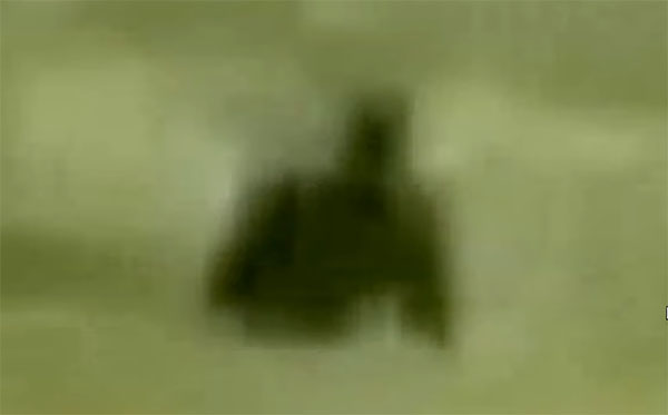 Bigfoot Accidentally Caught on Film in Nature Documentary?