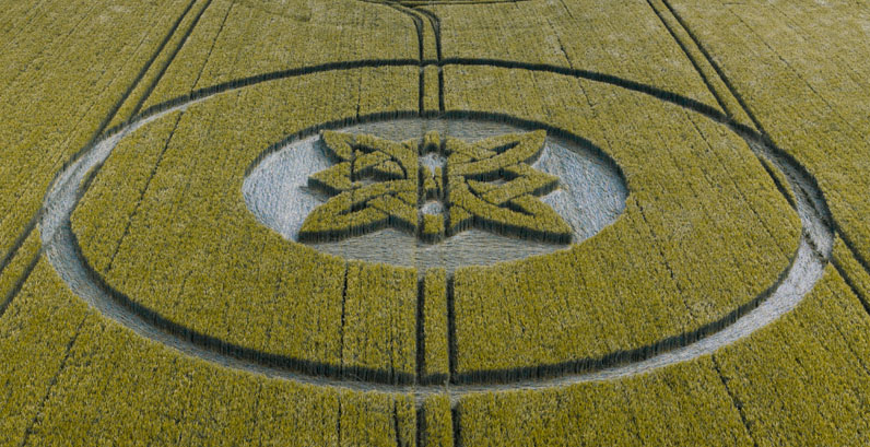 First UK Crop Circle of 2025 Found