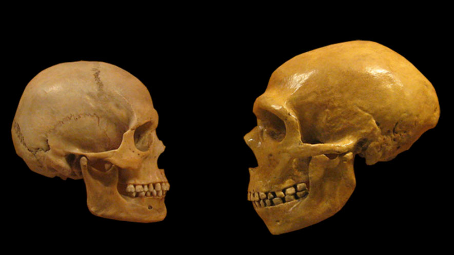 Skull Discovery Proves Denisovans Were Ancient Giants