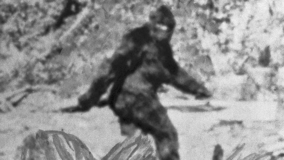 Patterson-Gimlin 'Bigfoot' Film Reaches Fiftieth Anniversary