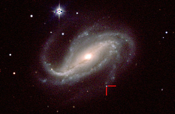 Amateur Astronomer Wins 'Cosmic Lottery' with Supernova Snap