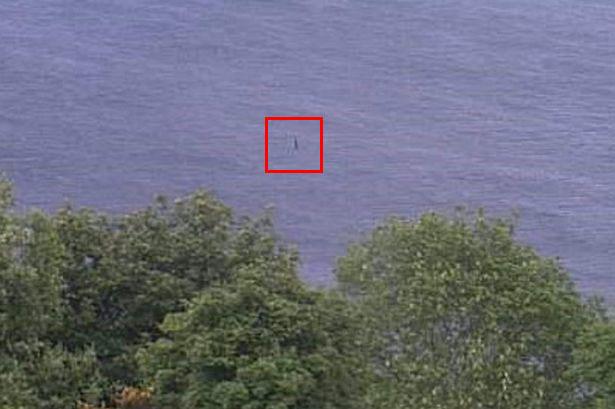 New Image Shows 'Loch Ness Monster' Emerging 10ft from Water