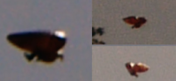 Odly Shaped UFO Caught on Camera in Costa Rica