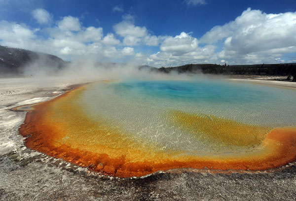 Yellowstone Microbe Discovery May Explain Origin of Life on Earth