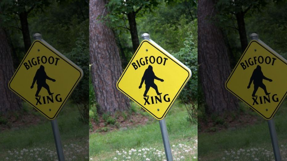 New York Town Adopts Bigfoot as Its 'Official Animal'