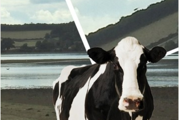 'UFO Landed in Field to Abduct Cows', Claims Photographer