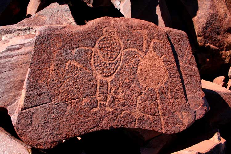 Unexplained Stone Structures Found Off Australia's Coast