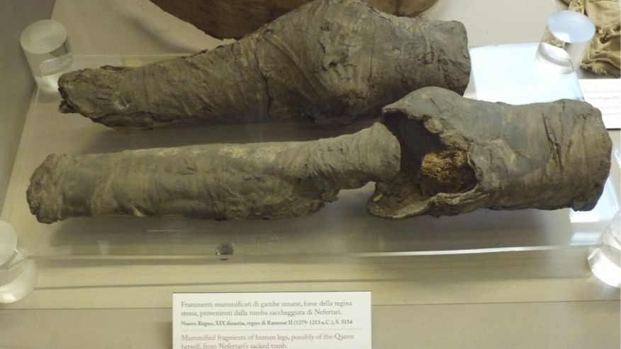 Queen Nefertari's Mummified Legs Uncovered?