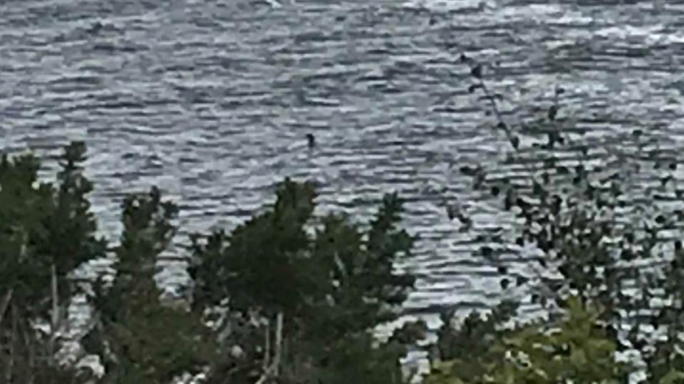 Schoolgirl Takes 'Best Loch Ness Monster Picture in Years'