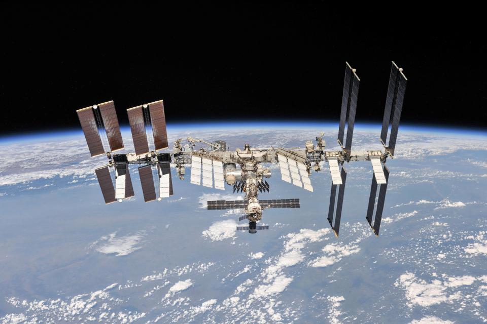 'Infectious Organisms' Discovered on International Space Station
