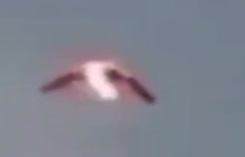 'Boomerang UFO' Recorded over Cuba?