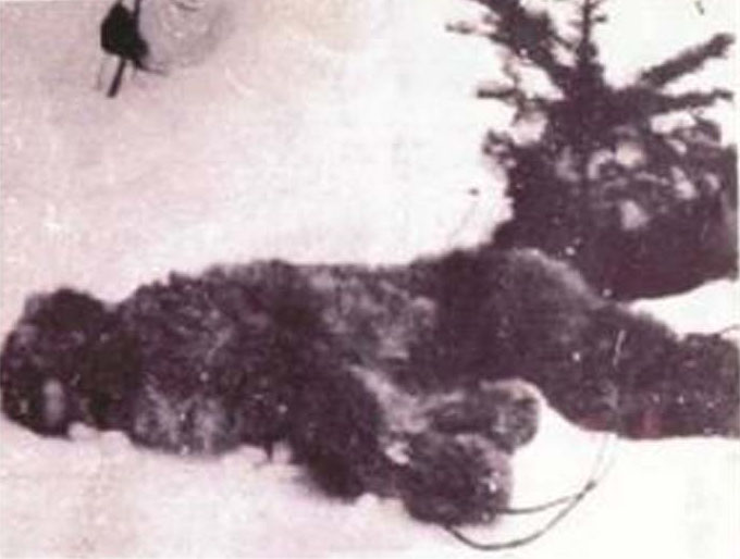 'Oldest Bigfoot Photo' Suggests Cryptozoological Conspiracy