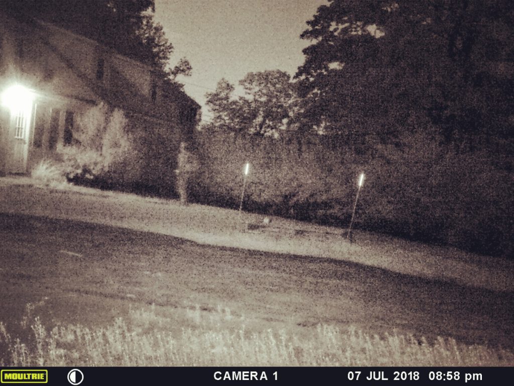 Woman Captures 'Ghost' on Game Camera