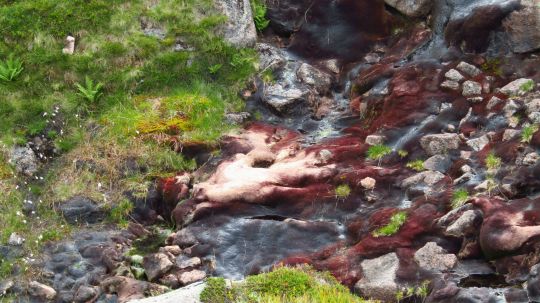 Mysterious 'Pink Blobs' Spotted in Scotland Spark Alien Theories