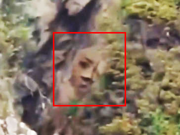 Mysterious Face Found Carved into Remote Canadian Island