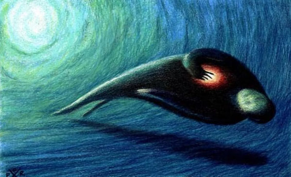 70% of Near-death Experiencers Report Shift in Beliefs