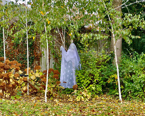 A Third of People in England Believe in Ghosts, Survey Finds