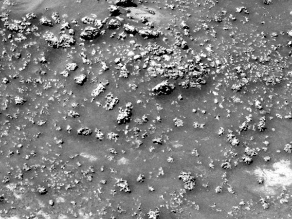 Silica 'Cauliflower' Discovery Could Prove Existence of Life on Mars