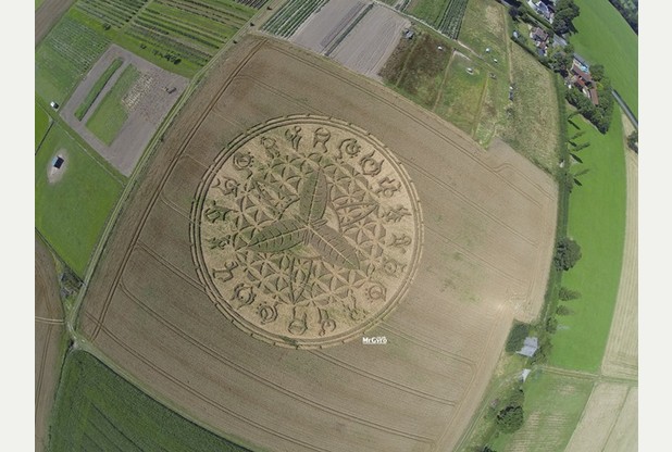 Intricate Crop Circle Appears Near Farm Shop